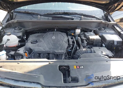 2024 Kia Sportage X-Line из США, поврежденный, VIN 5XYK6CDF2RG224949